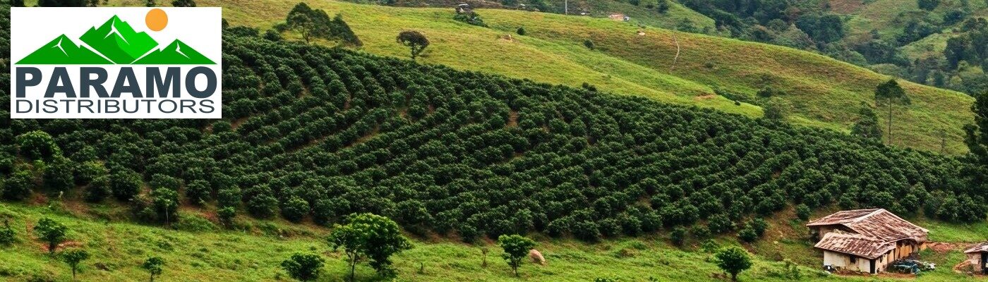 cropped-header-01.jpg